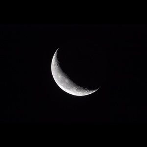 Meet your Posher, Chloe